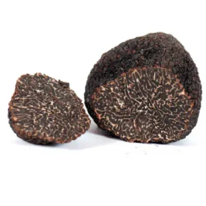 trufas negras malanosporum